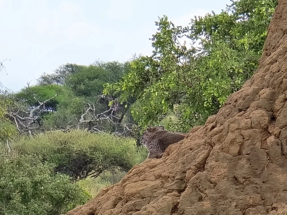 KakaoTalk_20250405_112215504_23.jpg?type=w1