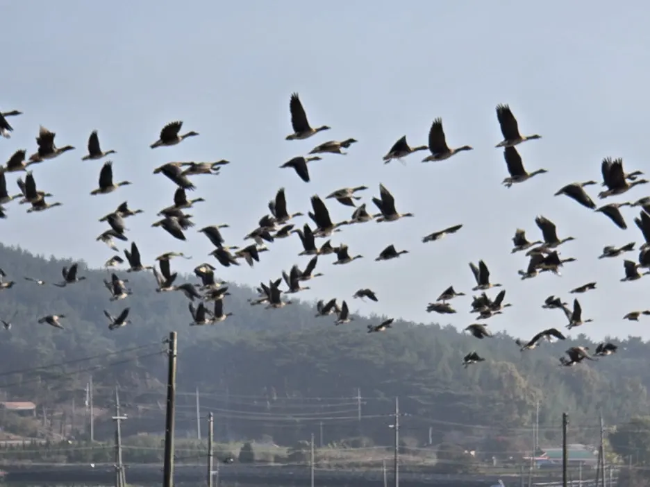 KakaoTalk_20241114_034525994_09.jpg?type=w1