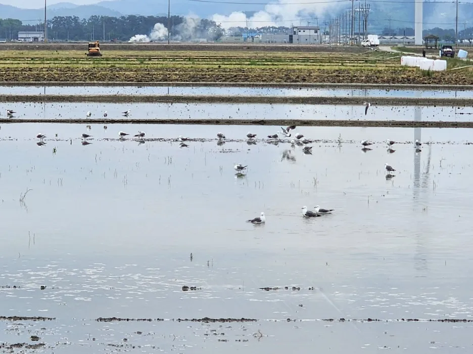 KakaoTalk_20240530_172310696_24.jpg?type=w1