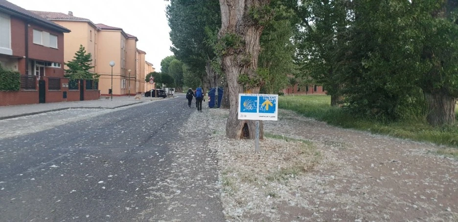 KakaoTalk_20220530_231729679_01.jpg?type=w1