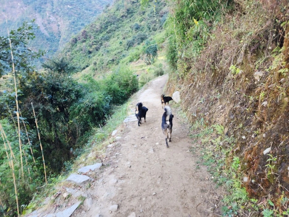 KakaoTalk_20221120_223727669_04.jpg?type=w1