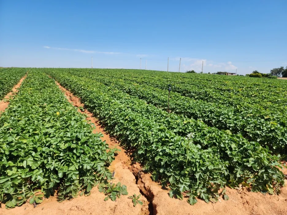 KakaoTalk_20240528_210234361_14.jpg?type=w1