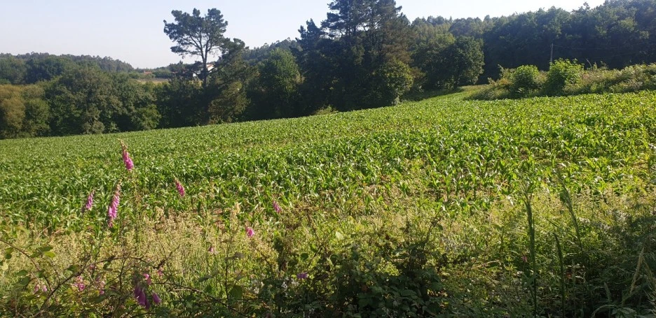 KakaoTalk_20220614_235426662.jpg?type=w1