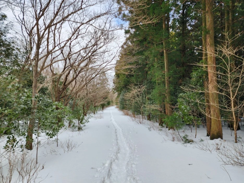 KakaoTalk_20230105_062708700_02.jpg?type=w1