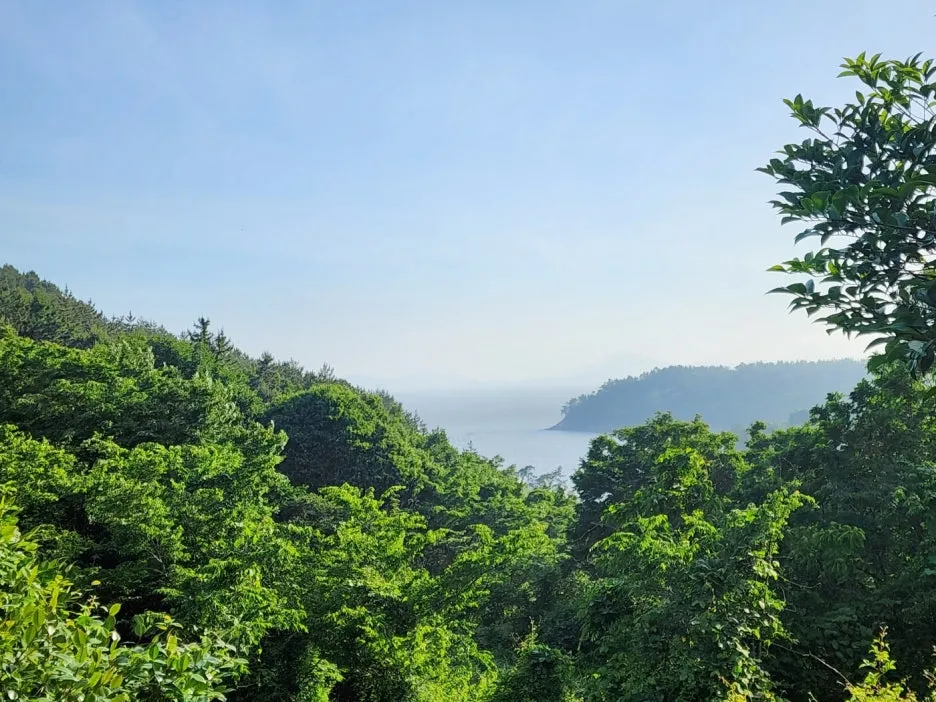 KakaoTalk_20240527_172250853_02.jpg?type=w1