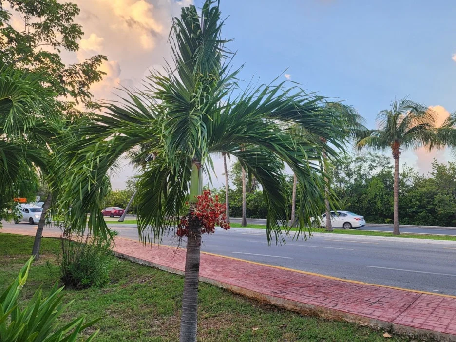 KakaoTalk_20240823_044935669_10.jpg?type=w1