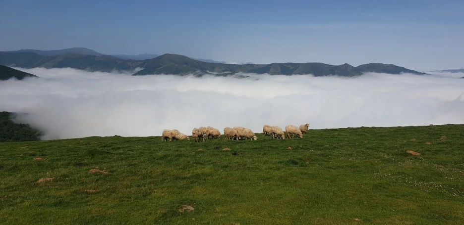 KakaoTalk_20220520_230646734_01.jpg?type=w1