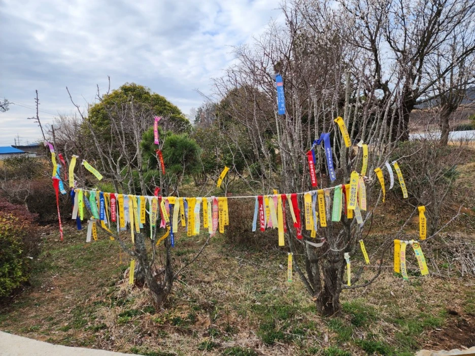 KakaoTalk_20230319_032634270_08.jpg?type=w1