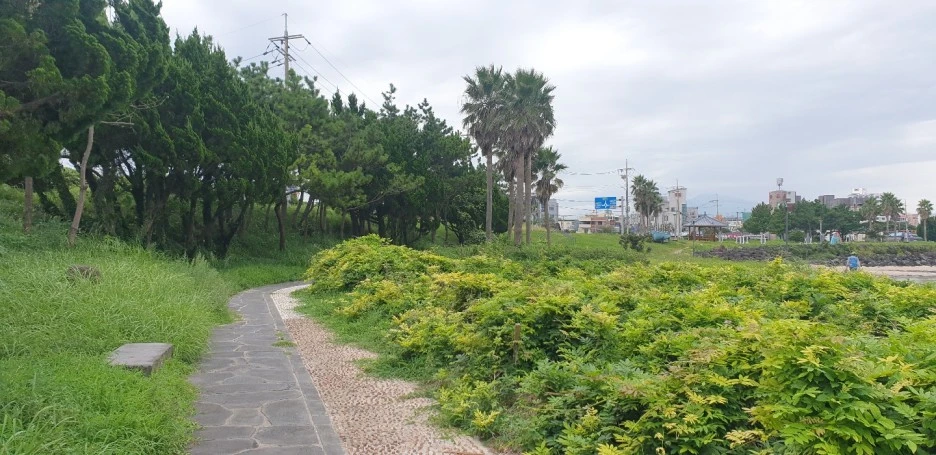 KakaoTalk_20220828_043901054_03.jpg?type=w1