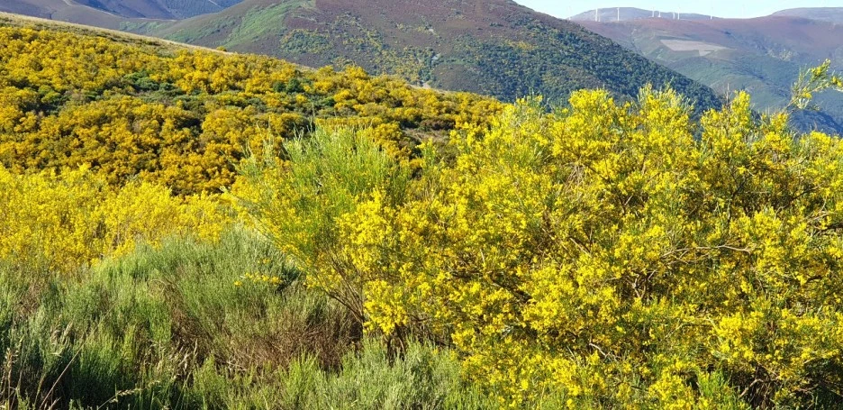 KakaoTalk_20220608_014605650_07.jpg?type=w1