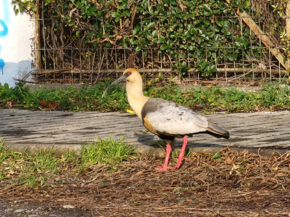 KakaoTalk_20240727_155208184_05.jpg?type=w1