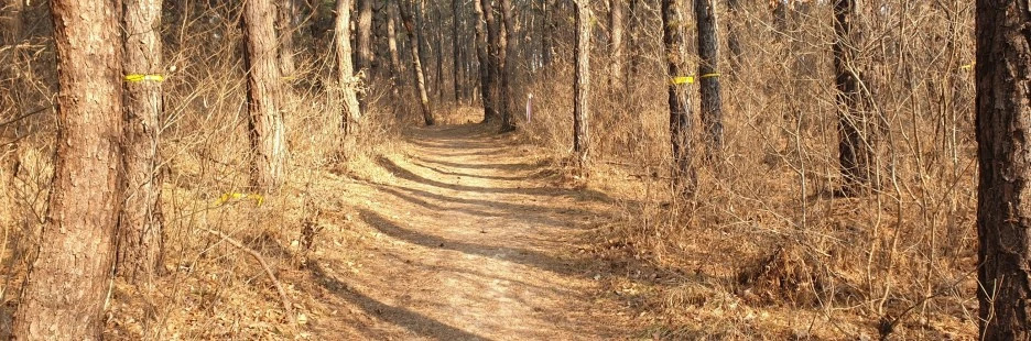 SE-58b9e1e5-f86d-489c-ba27-6deed7d7b055.jpg?type=w1