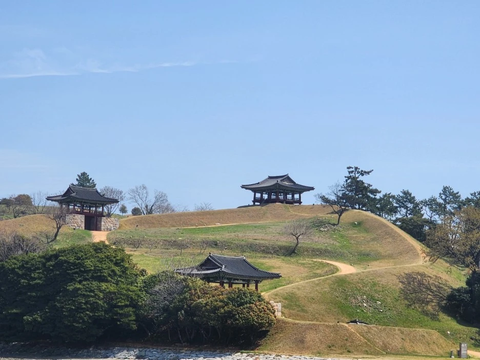 KakaoTalk_20230331_034558069_14.jpg?type=w1