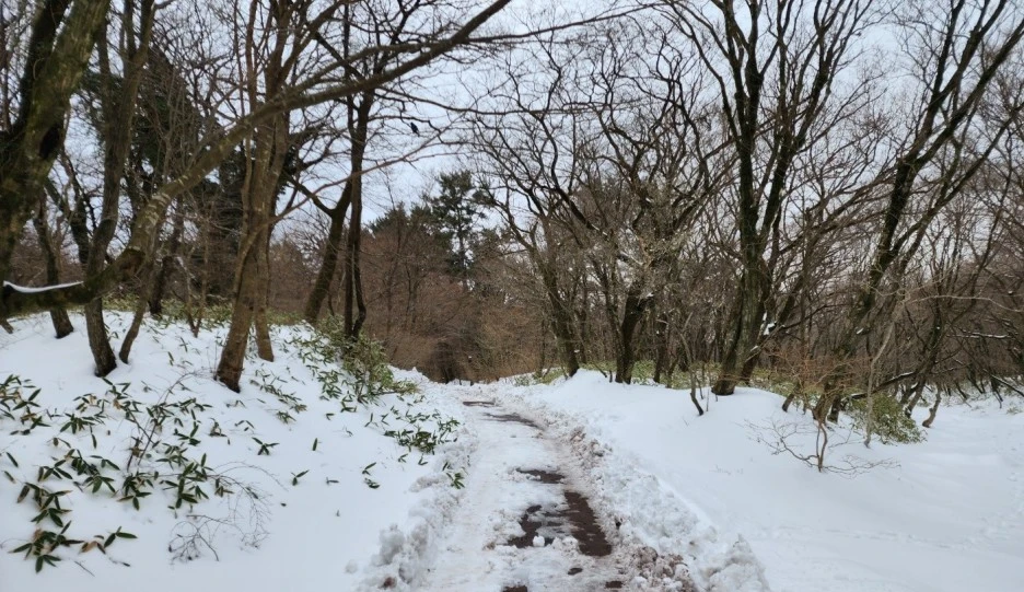 SE-1047b7a7-b9ed-42cb-a540-e8bc04f0cad7.jpg?type=w1