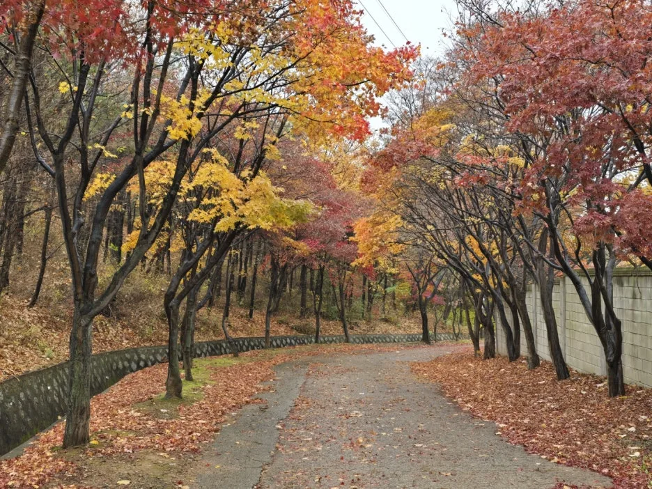 KakaoTalk_20241128_094326100_20.jpg?type=w1