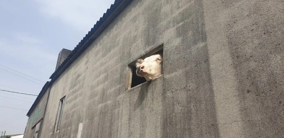 KakaoTalk_20220621_020901713_13.jpg?type=w1