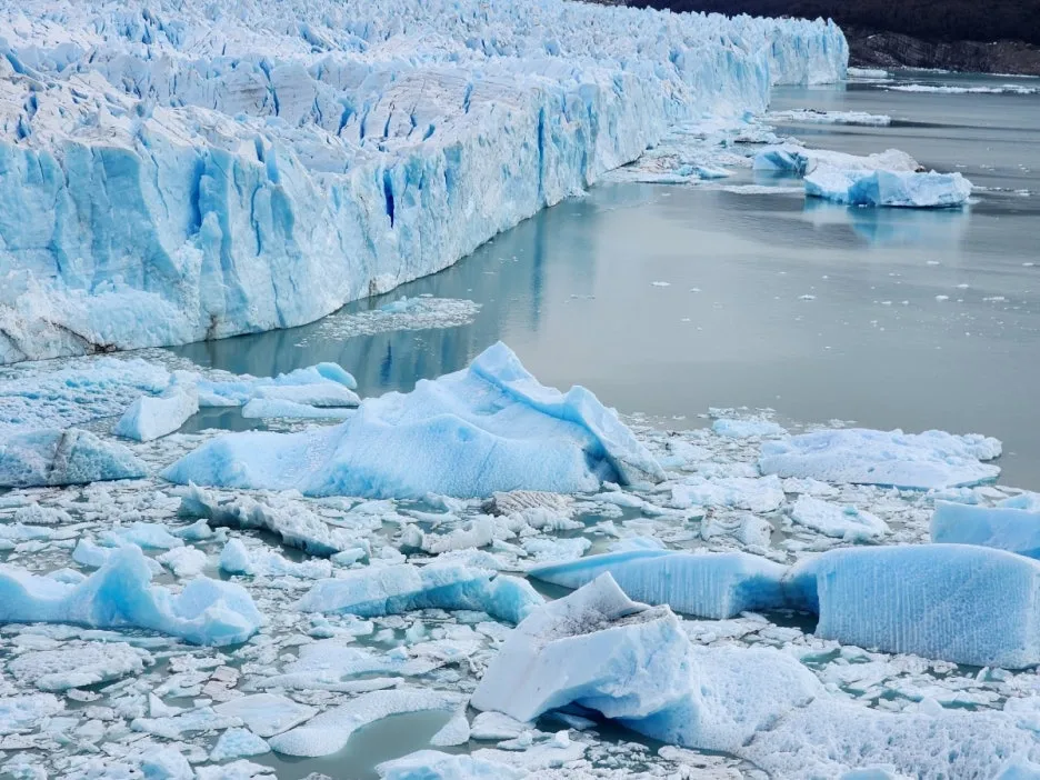 KakaoTalk_20240805_072017806_29.jpg?type=w1