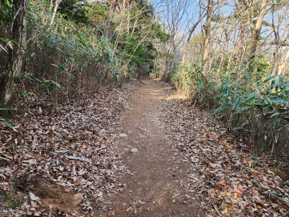 KakaoTalk_20230402_050707846_04.jpg?type=w1