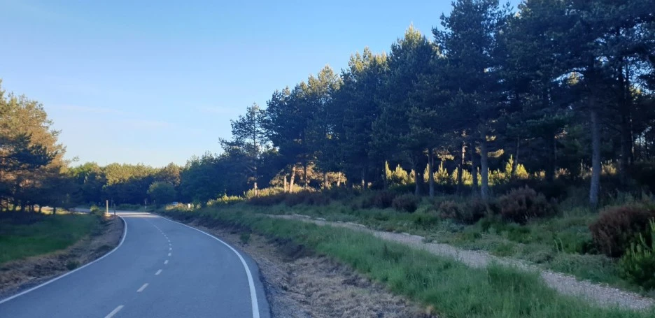 KakaoTalk_20220608_014443366.jpg?type=w1