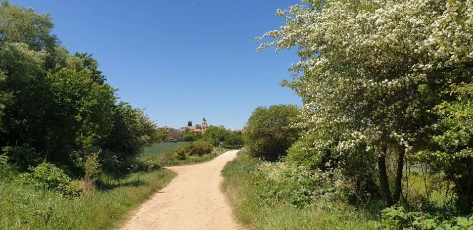 KakaoTalk_20220528_212337409.jpg?type=w1