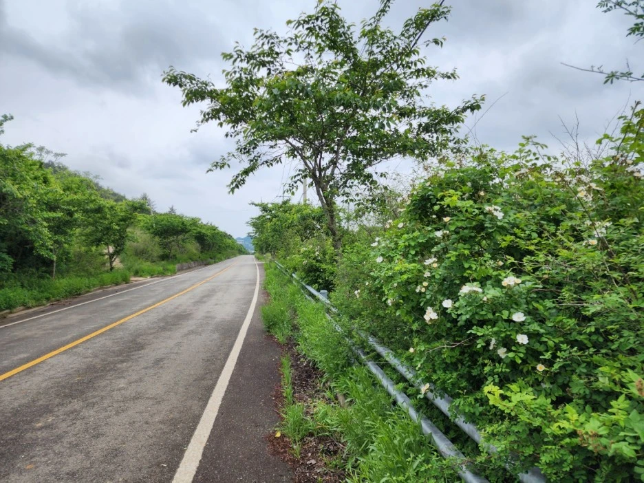 KakaoTalk_20240508_155917921_19.jpg?type=w1