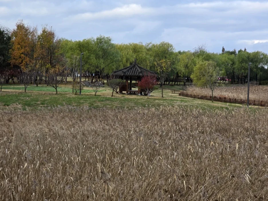 KakaoTalk_20241128_094028134_11.jpg?type=w1