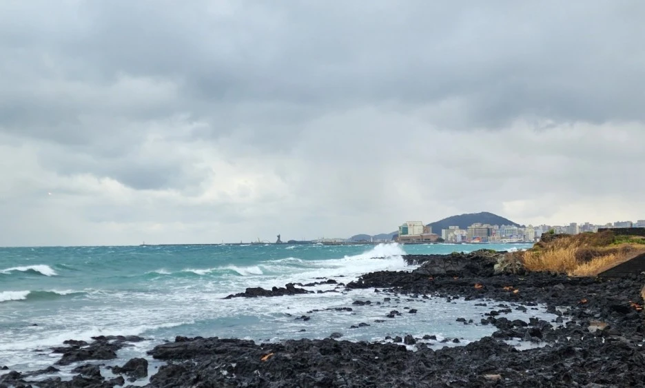 SE-50f3beac-2e53-4758-80f0-6b1160637a2a.jpg?type=w1