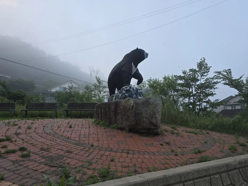 KakaoTalk_20250623_164743987_03.jpg?type=w1