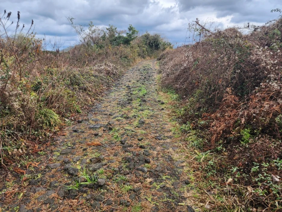 KakaoTalk_20221227_233431851_08.jpg?type=w1