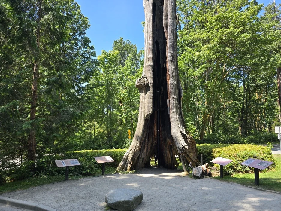 KakaoTalk_20250724_031453973_13.jpg?type=w1