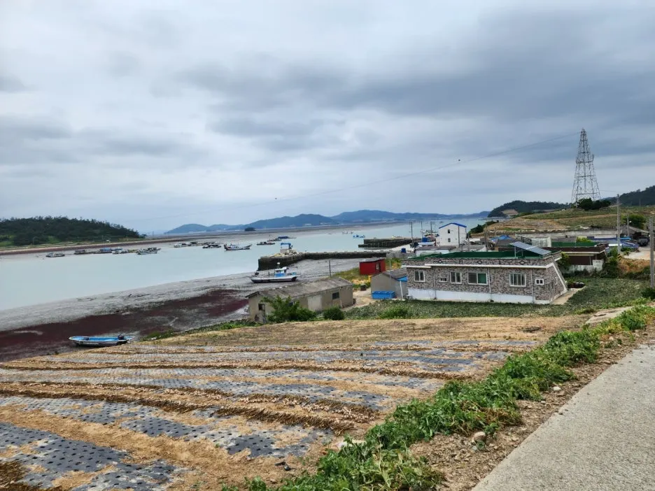 KakaoTalk_20240526_220649914_20.jpg?type=w1