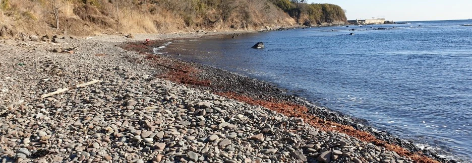 SE-2a9b97ba-497b-4c50-ba1c-3af4d0e24db0.jpg?type=w1