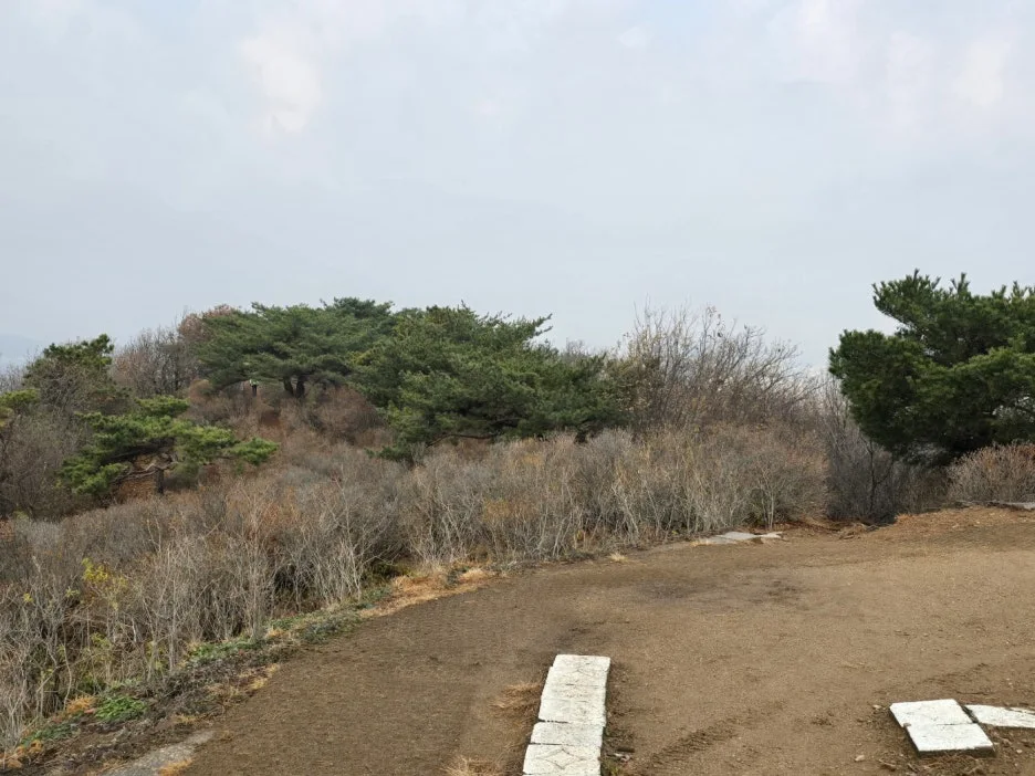 KakaoTalk_20241203_014924310_07.jpg?type=w1