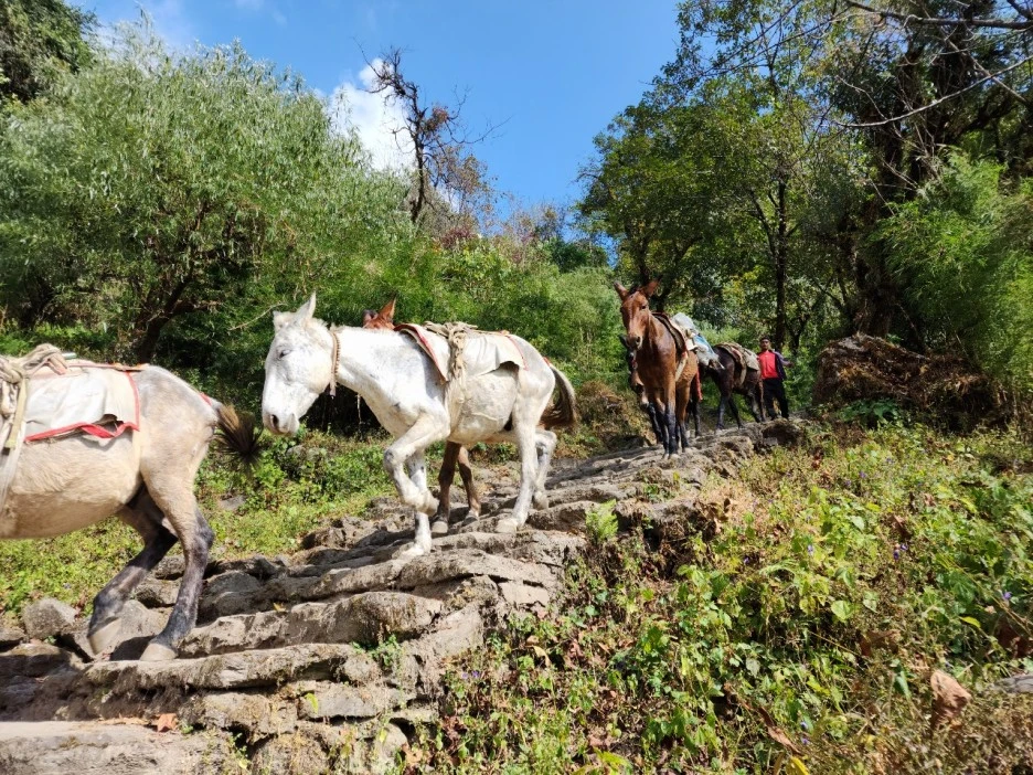 KakaoTalk_20221117_073228420_04.jpg?type=w1