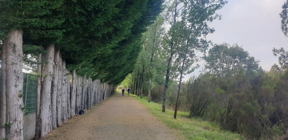 KakaoTalk_20220614_012949711.jpg?type=w1