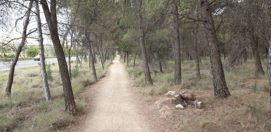 1653551496736.jpg?type=w1