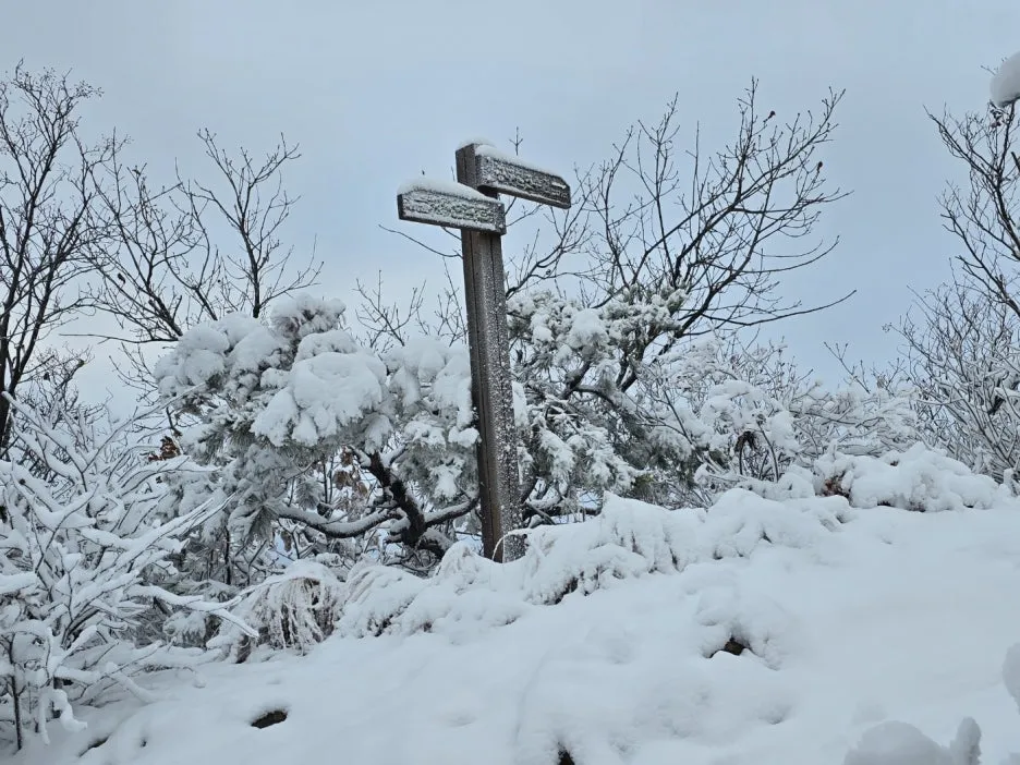 KakaoTalk_20241129_050938052_04.jpg?type=w1