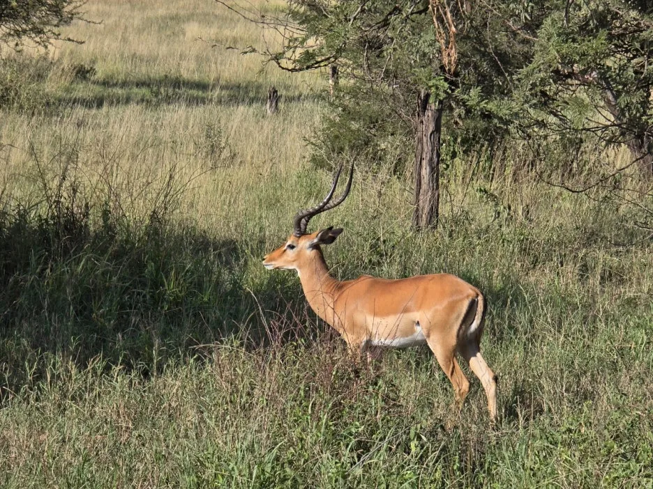 KakaoTalk_20250405_135250372_02.jpg?type=w1