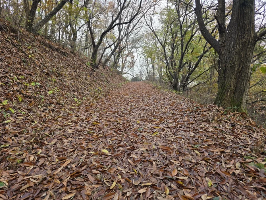 KakaoTalk_20241203_014924310_12.jpg?type=w1