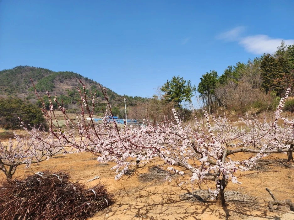 KakaoTalk_20230319_032634270_15.jpg?type=w1