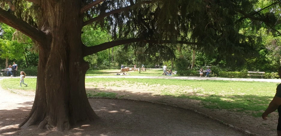 20220501_132708.jpg?type=w1