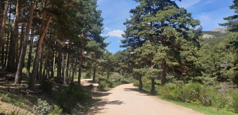 KakaoTalk_20220518_230348941_07.jpg?type=w1