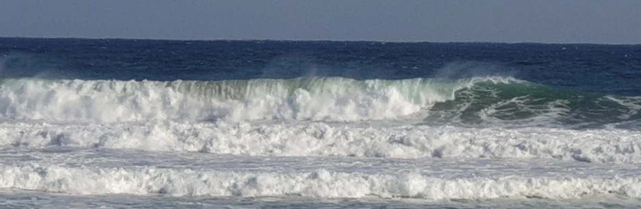 SE-1cf94726-65e7-4e97-a388-6a0f53cbfceb.jpg?type=w1