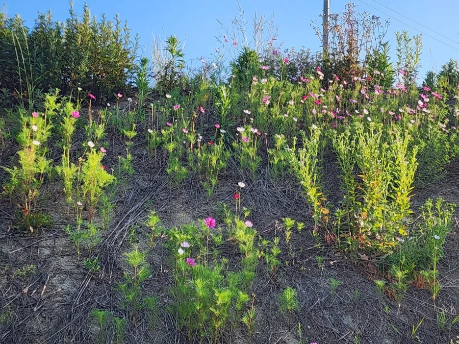 KakaoTalk_20240529_170254177_11.jpg?type=w1