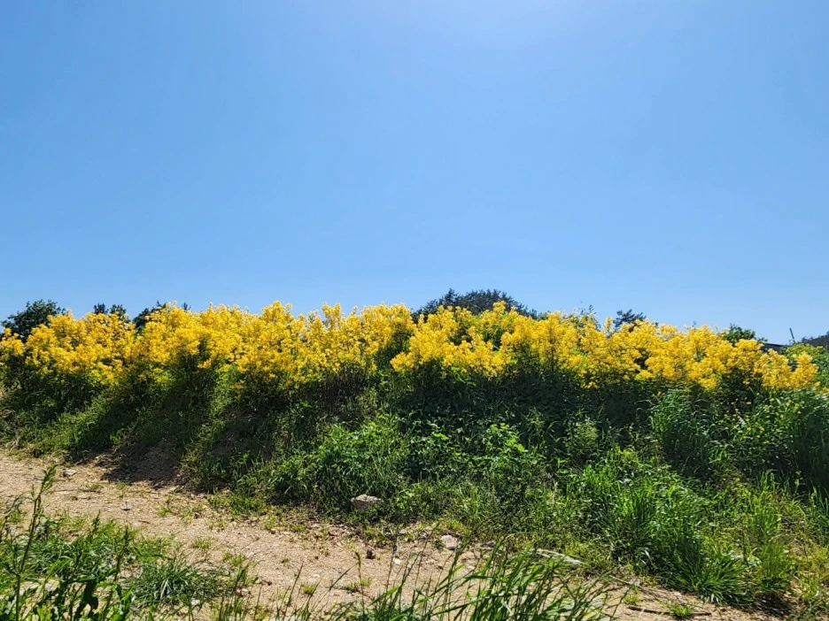 KakaoTalk_20240511_041926496_27.jpg?type=w1