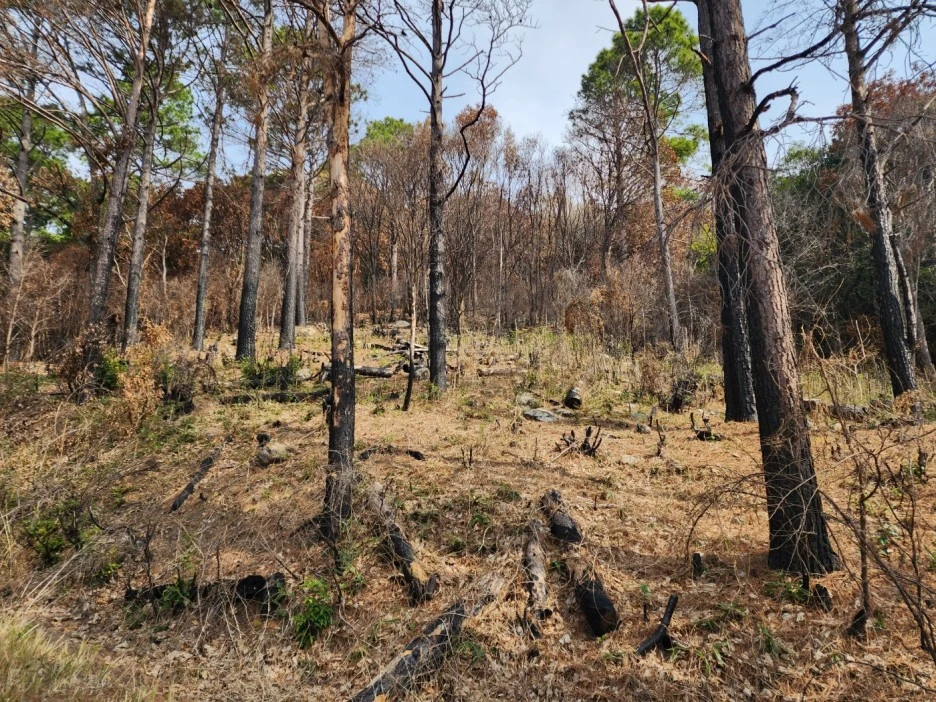 KakaoTalk_20230331_035853682_13.jpg?type=w1