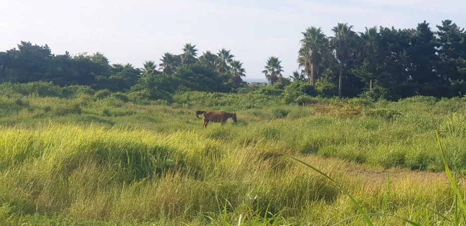 KakaoTalk_20220831_114502009_03.jpg?type=w1