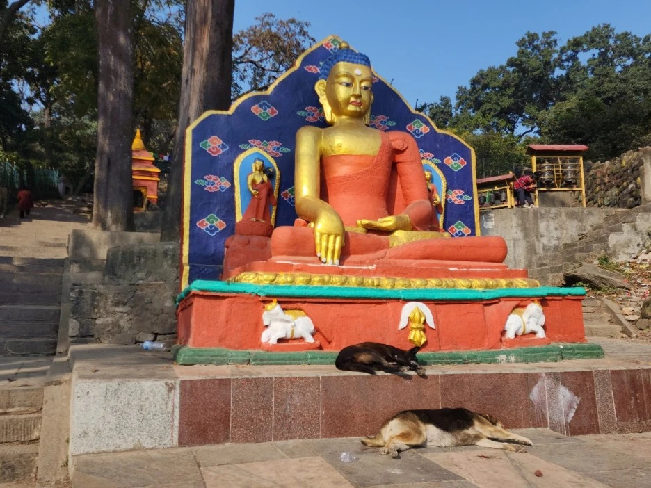 KakaoTalk_20221123_122408806_03.jpg?type=w1