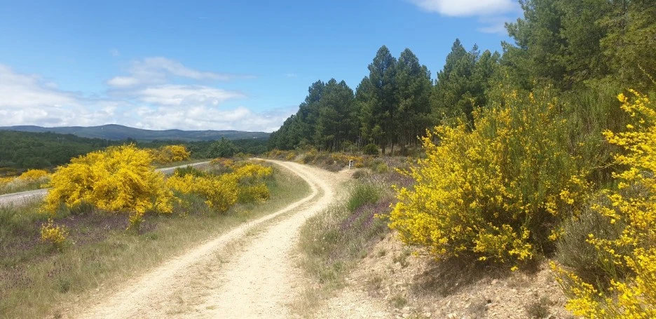 KakaoTalk_20220608_004544557_09.jpg?type=w1