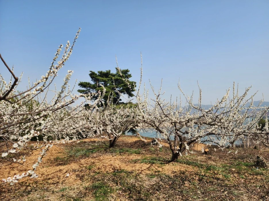 KakaoTalk_20230311_035228439_02.jpg?type=w1